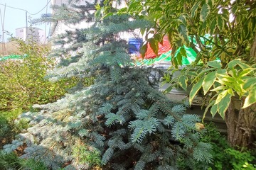 Ведение садоводства, 7,5 сот.